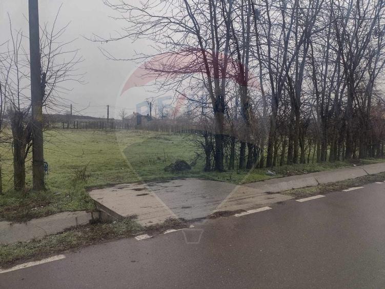 De vanzare teren intravilan la pret excelent Ialomita - 1