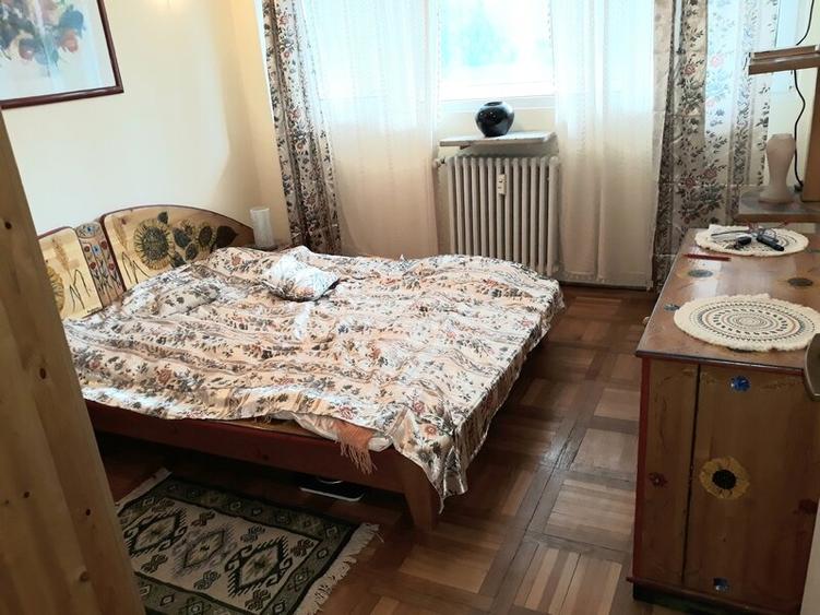 Lacul Tei, Parcul Circului, Lidl, Mega Image, adiacent - 5