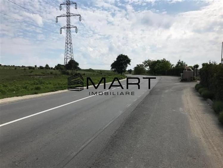 Teren 6,7 ha Dealul Daii langa Bavaria - 1