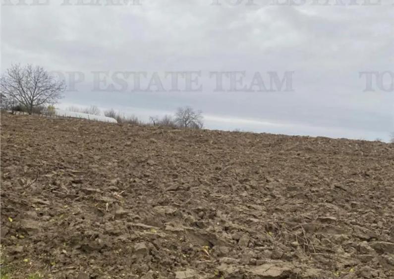 Teren 12223 mp in Prahova - 1