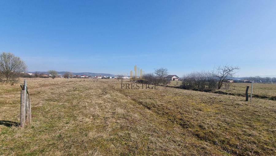 FĂRĂ COMISION | TEREN 1000 MP ȘELIMBĂR ZONA TROIȚĂ | INVESTIȚIE - 9