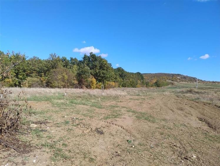 RECO Teren intravilan Betfia - 2