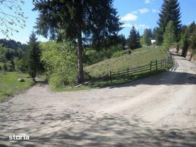 Vand 3000 mp teren intravilan + casuta de munte racordata la EON - 5