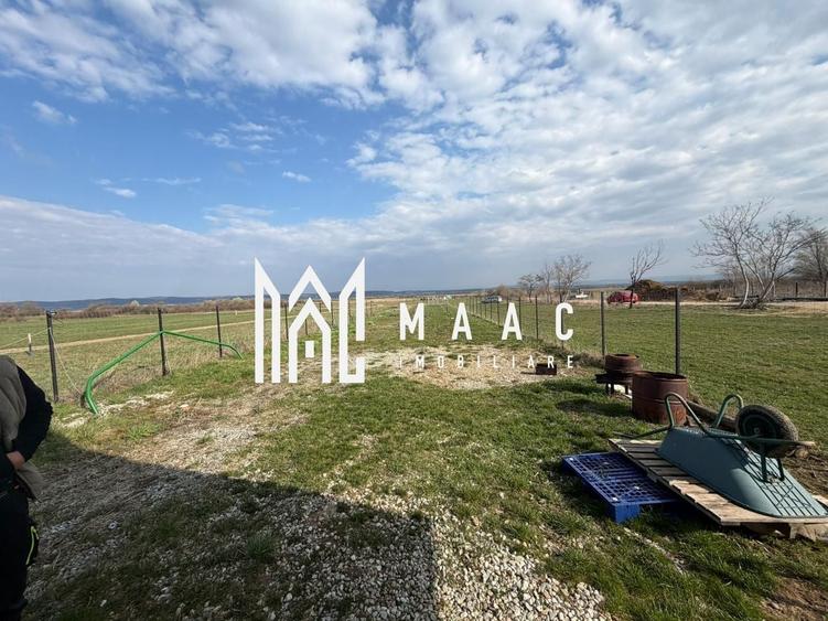 Teren intravilan |1000 MP | Poplaca - 1