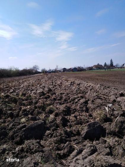 Vand 2300 m2 teren intravilan - 1