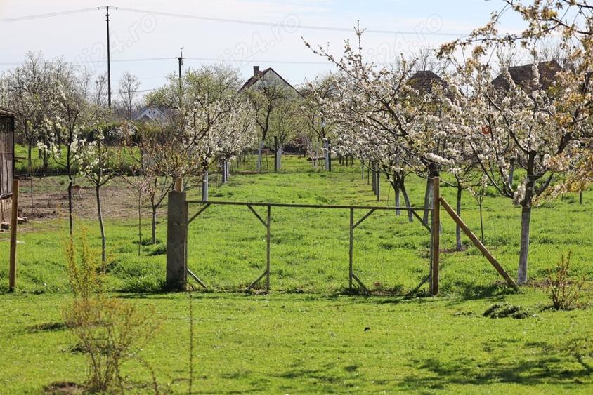Casa deosebita de vanzare in Comlo?u Mare - 1