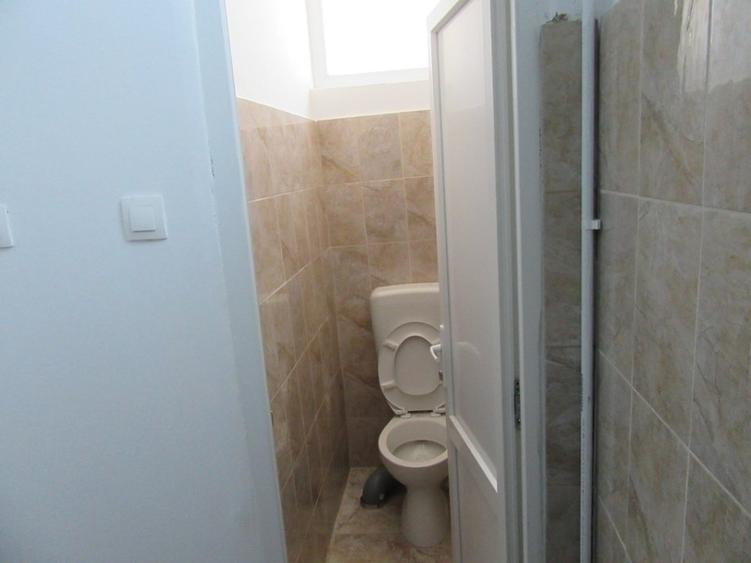 Inchiriere Spatiu Comercial Teiul Doamnei - 37