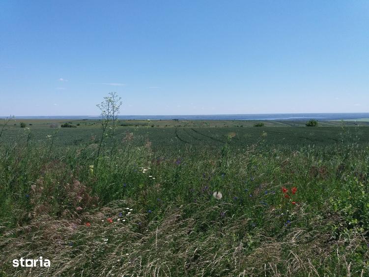 Teren de 4200 mp, în Tulucești