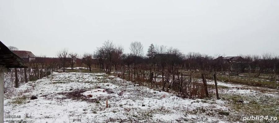Casa de vanzare in comuna Barsa, judetul Arad - 6