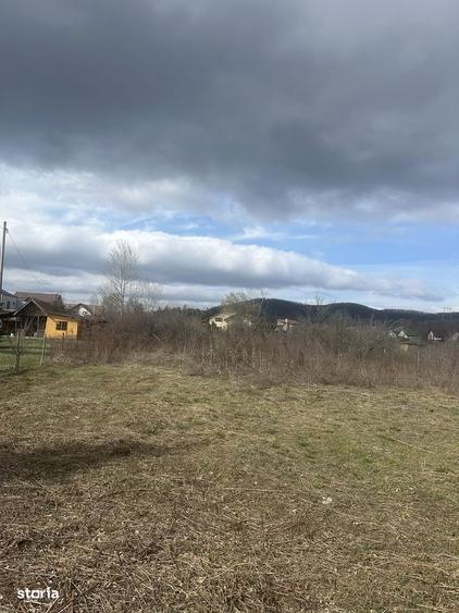 BANESTI - teren intravilan - 1035mp - 50 Euro/mp - 3