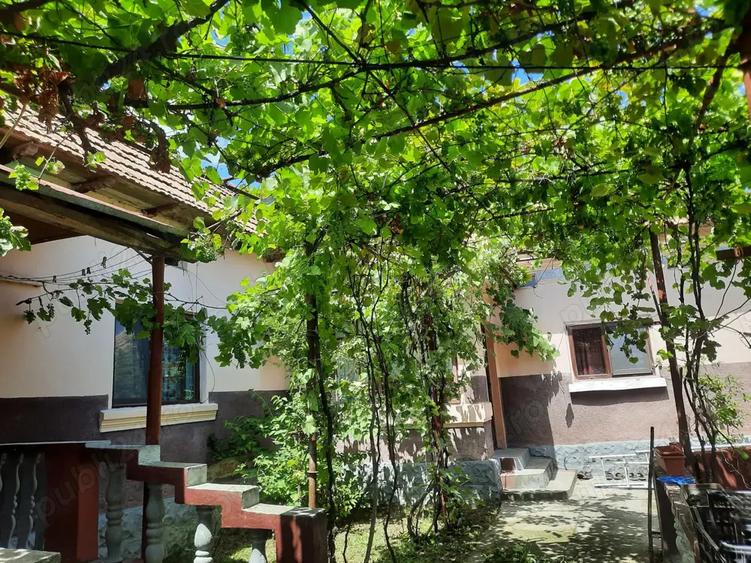 Casa cu teren de 5100 mp in orasul Babeni strada Romani - 1