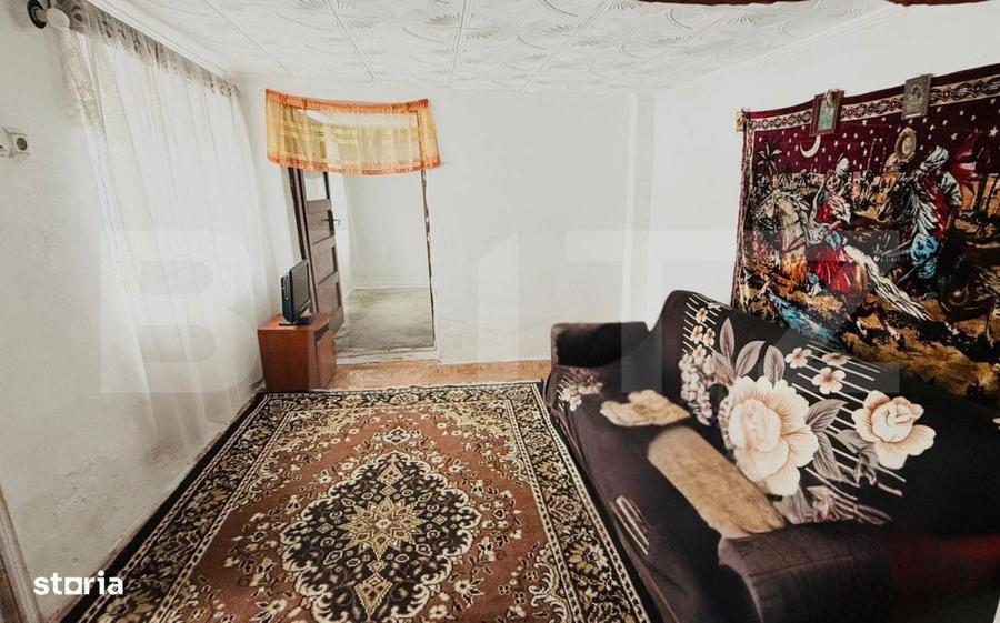 Refugiu la tara: casa traditionala , teren generos, si intimitate Cos - 8
