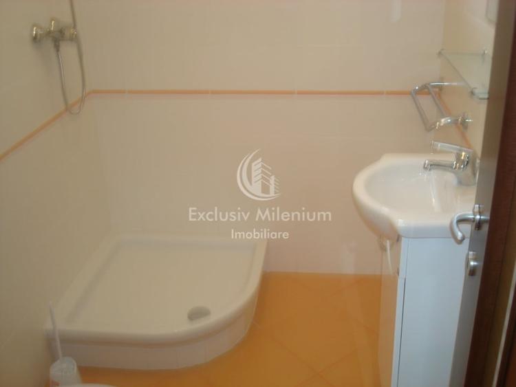 Spatiu Birouri la casa Tei-Barcu Vacarescu - 11