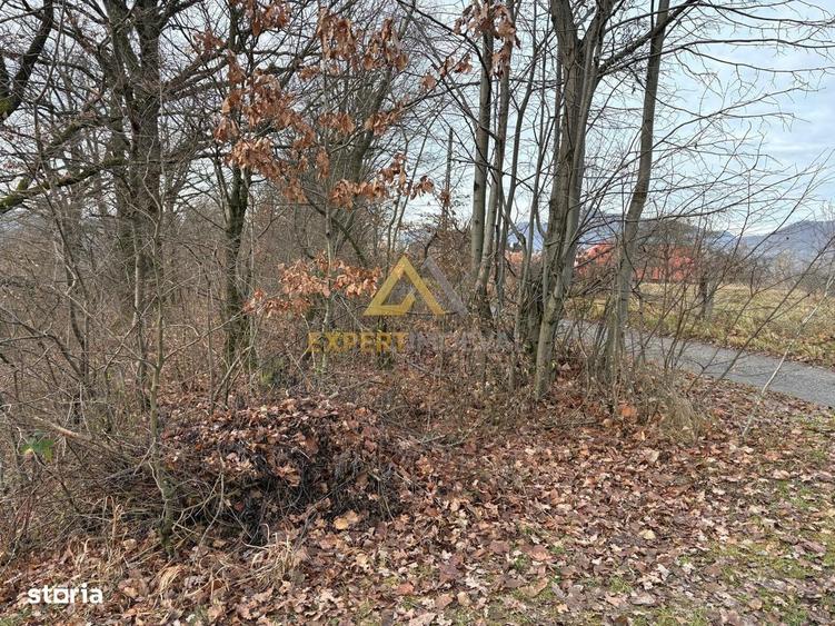 Teren intravilan de vanzare - 1