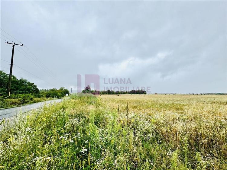 Teren intravilan 5.000 mp | Valea Avrigului | front dublu - 1