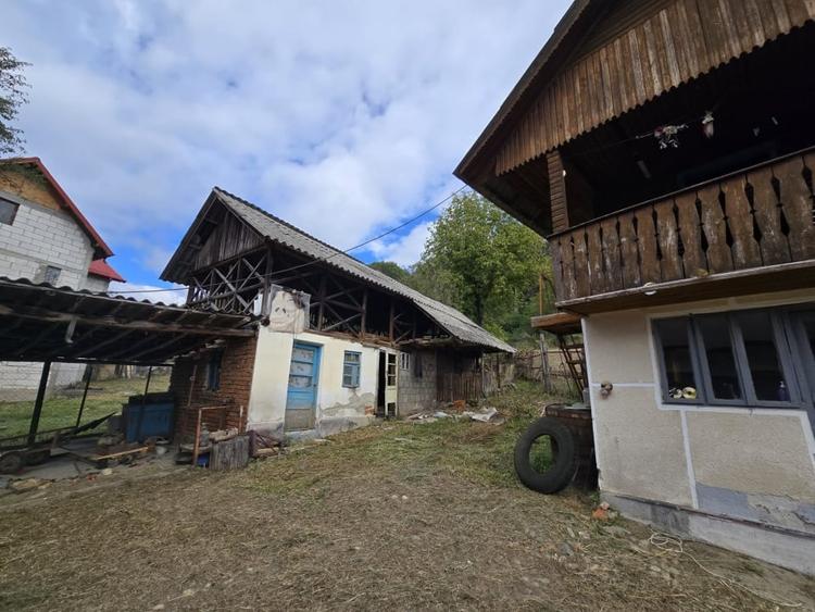 Casa si teren 5.000 mp, Stroesti - 16