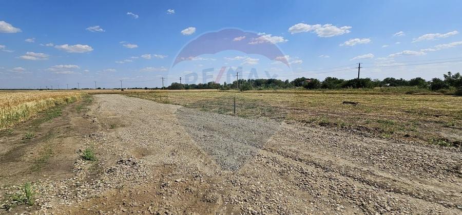 Terenuri intravilane Frumușani – Preț excelent, investiție sigură! - 5