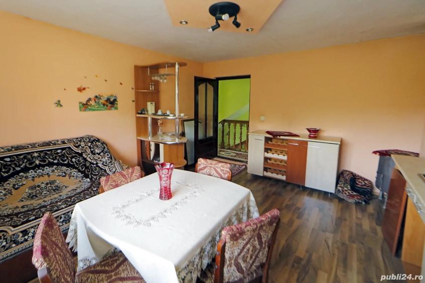 Vand Vila in Jude?ul Maramure? - 6