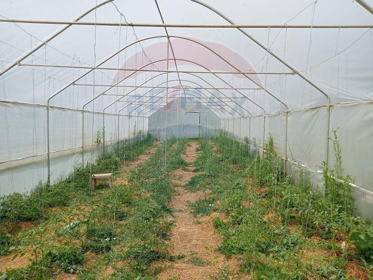 Vanzare casa  4 camere-microferma, cu panouri fotovoltaice - 25