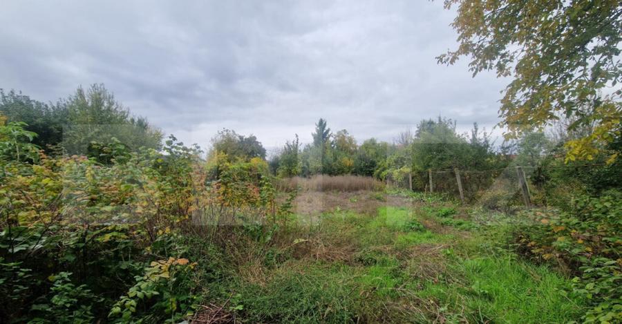 Casa 4 camere 1150 mp teren, la asfalt toate utilitatiile - 15