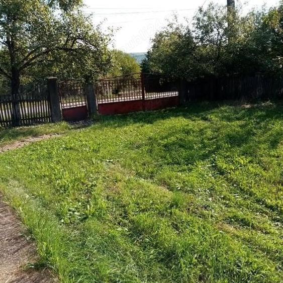 Loc. Basesti (jud. MM) casa de vanzare cu 8.000 mp teren - 4