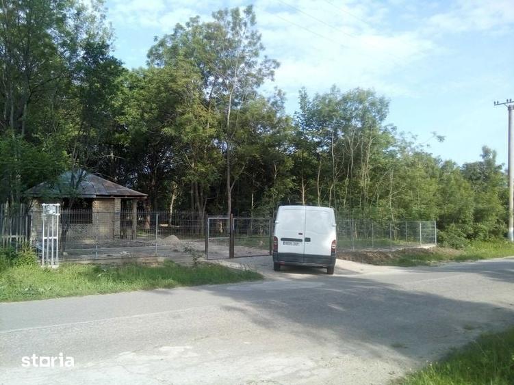 Teren,casa,Iazuri,padure - 1
