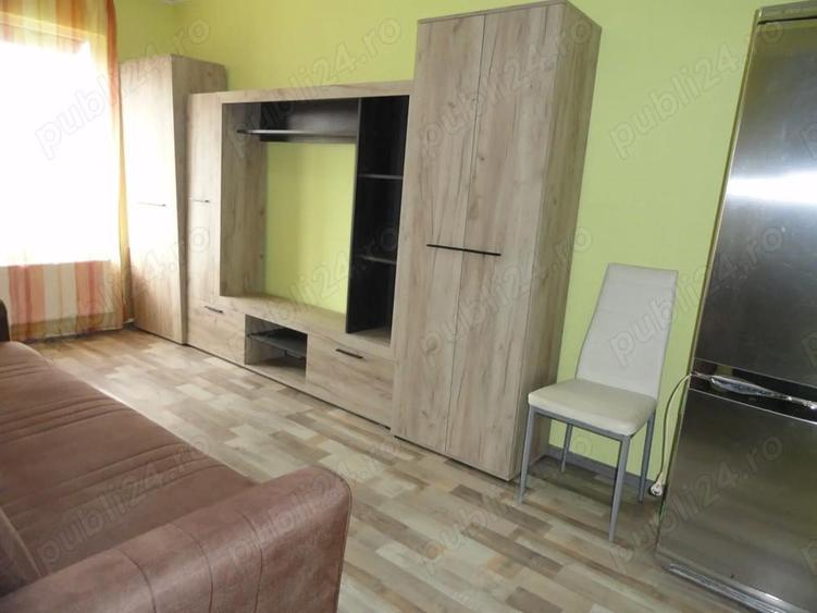 Apartament 1 camera la parter intr-un bloc de apartamente in Vlaicu, renovat, mobilat - 6