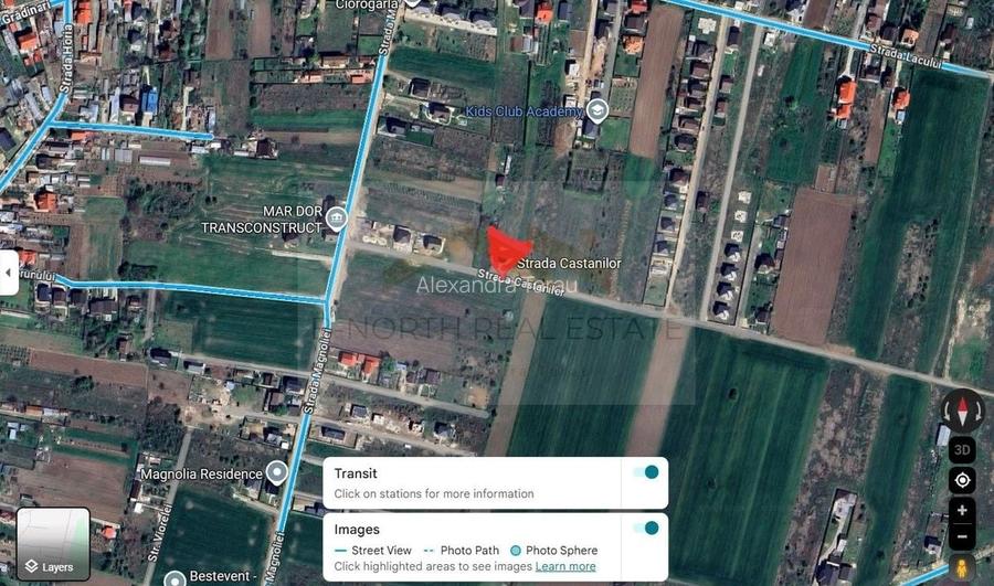 Teren intravilan 5.450 mp - Strada Castanilor, Ciorogârla - zonă rezidențială în