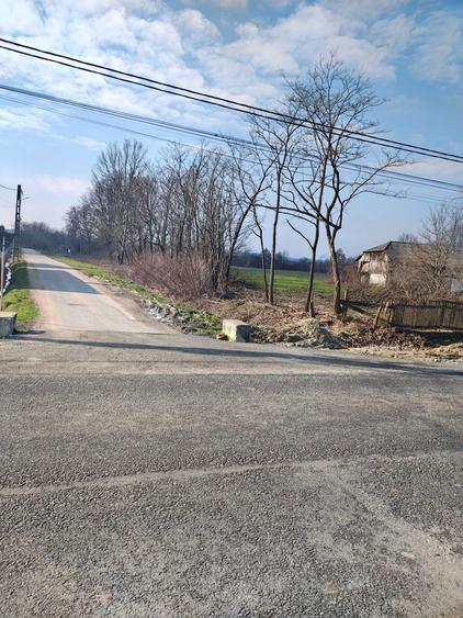 Teren intravilan de vanzare in comuna Pomi - 1