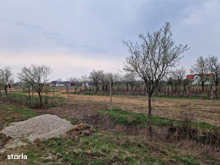 Teren intravilan in Cionchesti dublu front stradal, 12.5 ari - 1