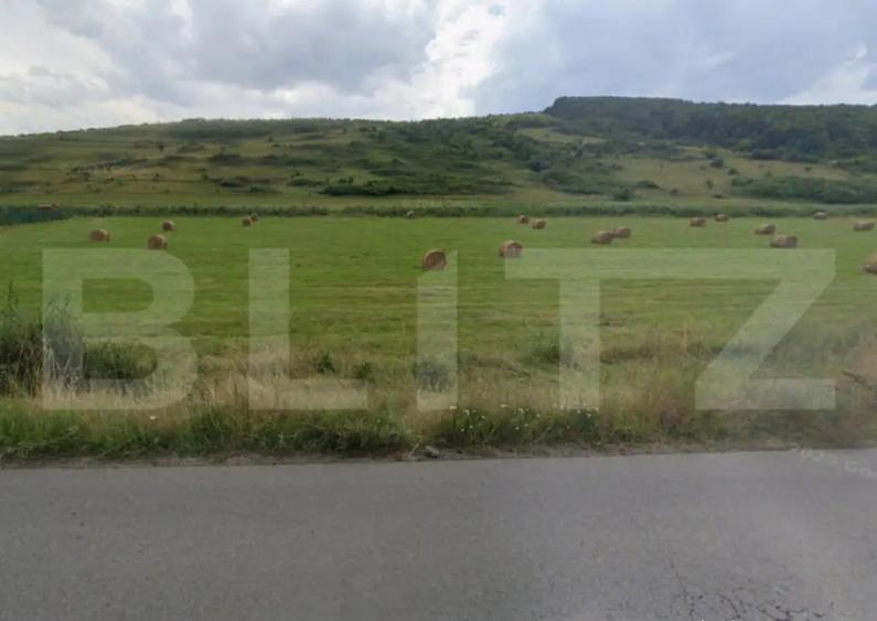 Investitie ! Teren extravilan 2800 mp, pretabil PUZ , Centu - 1