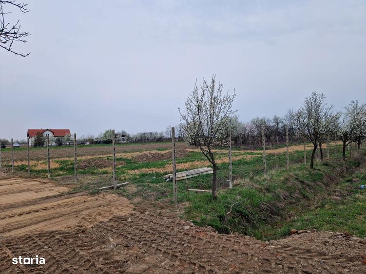 Teren intravilan in Cionche?ti dublu front stradal, 12.5 ari - 2