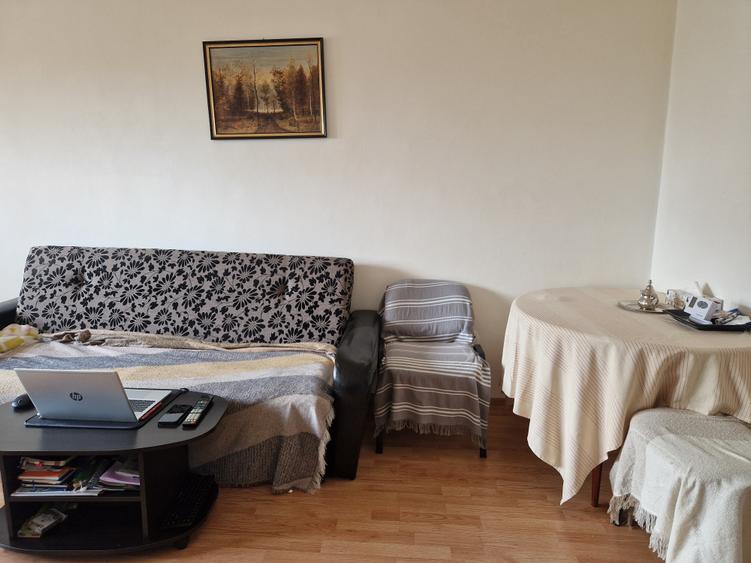 Pe cel mai frumos bulevard din oraș CORNELIU COPOSU-terasa cu vedere spre Bega - 6