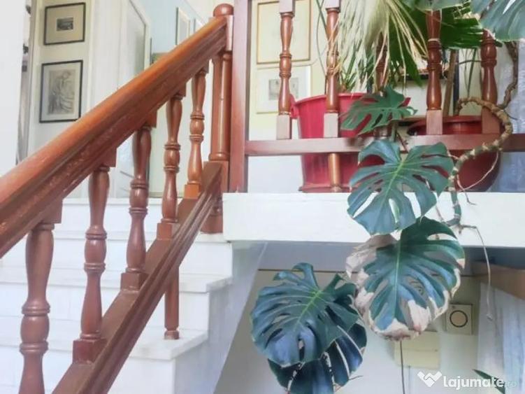 Casa zona dealuri - 2