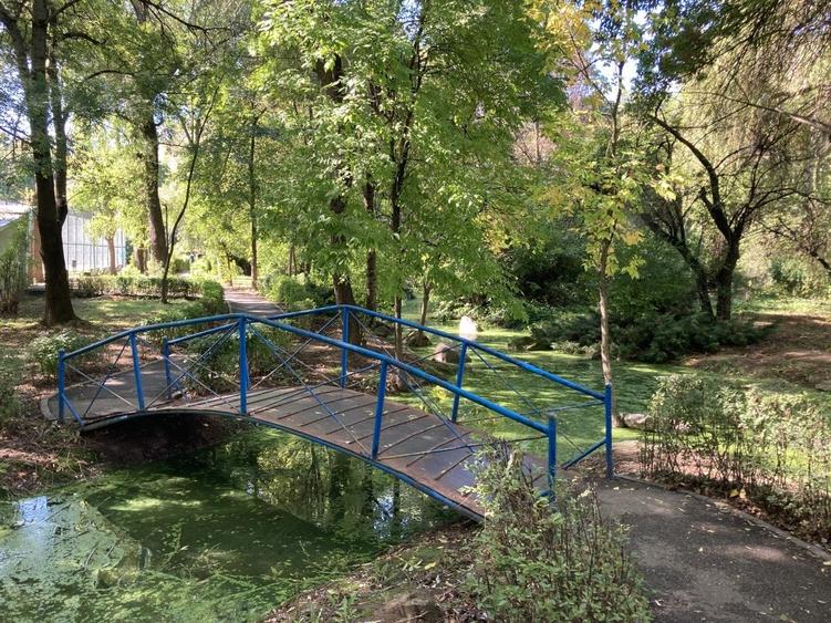 Casa 4 camere - singur in curte - Plumbuita, cu vedere parc si lac - 9