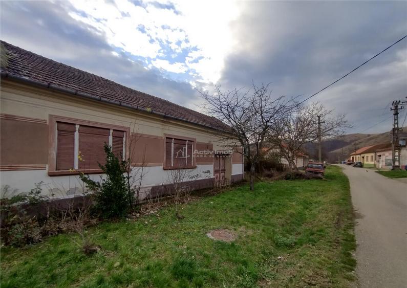 Bogodint, Casa 440mp cu 4 Hectare Teren, Pret Negociabil - 15