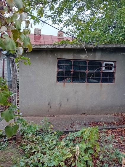 Vand Casa Caracal - 3