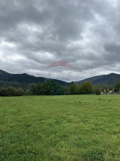 Teren 1,023mp Vadurele (Alexandru cel Bun) / Strada Stejarilor - 3