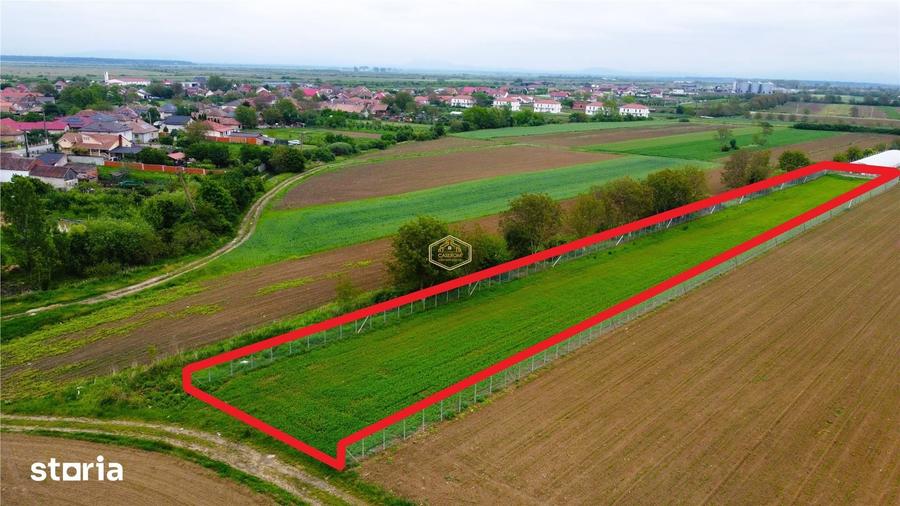 Teren de 3600 mp, în Burdea