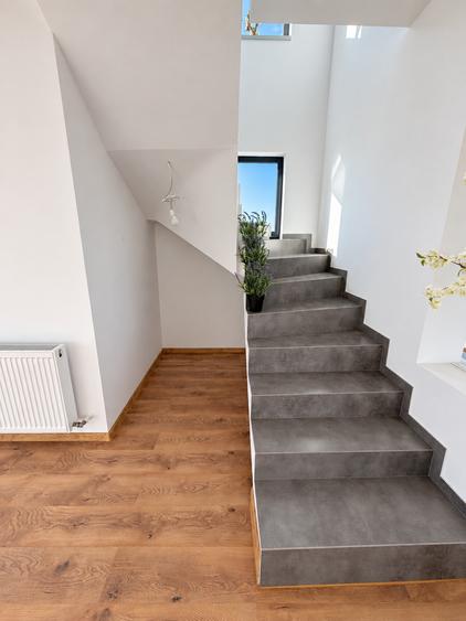 Comuna Berceni - Casa 4 Camere 2 Bai 422mp Teren - 1