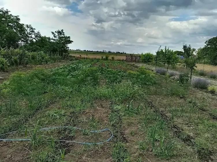 Teren de 500 mp, în Siliștea