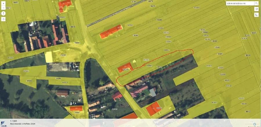 Teren de 1600 mp, în Sâmbăta de Sus