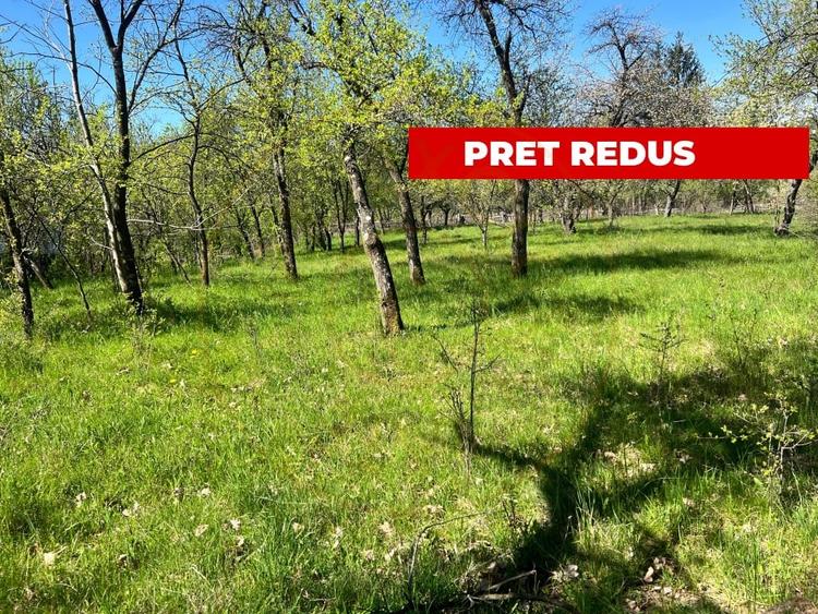Teren Construcții intravilan de 3097 mp, în Corbi