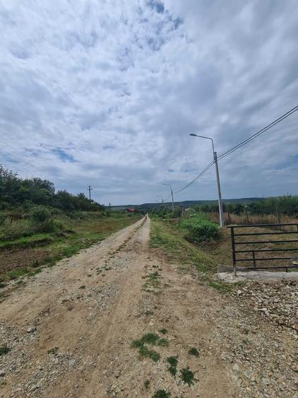 Spațiu comercial, în Leșile