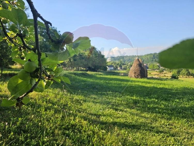 Teren Construcții intravilan de 1247 mp, în Breb