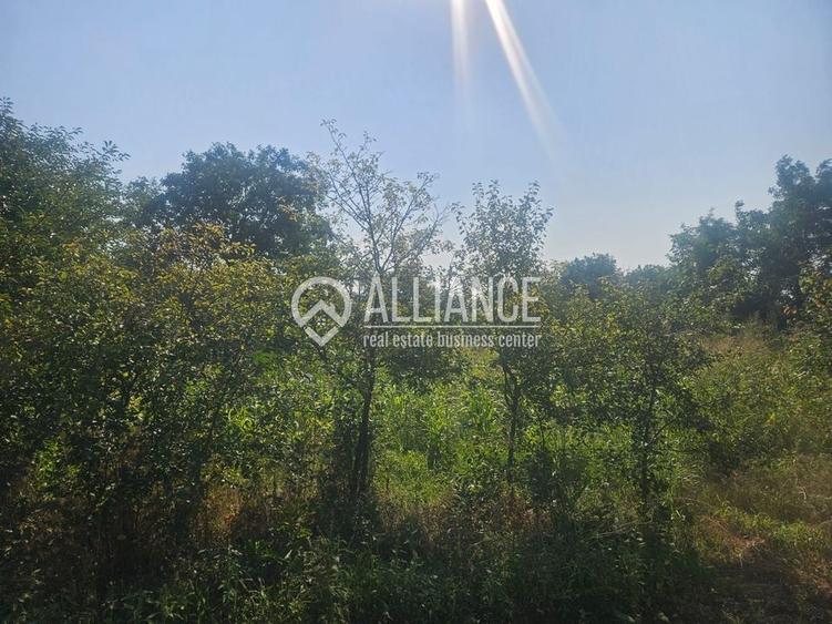 ISTRIA (COD04)-Teren intravilan 1528 mp-Constanta - 5