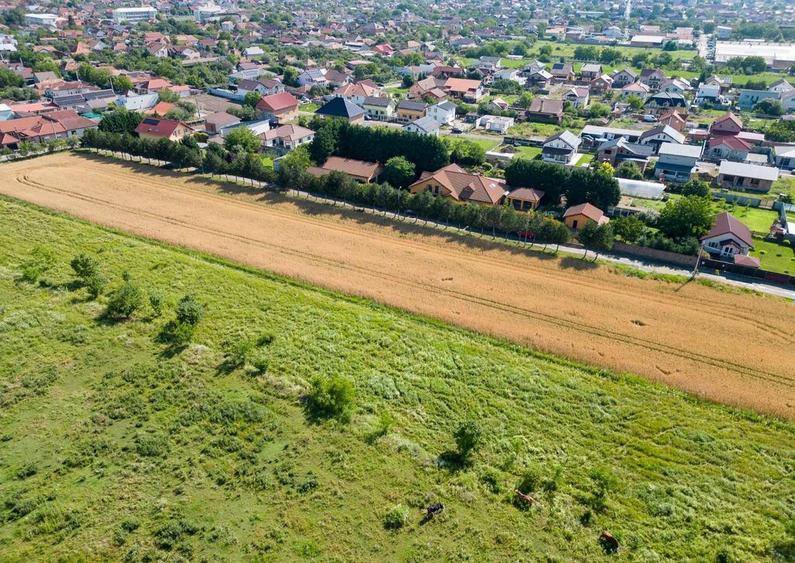 Loc de casa in Bujac - 5