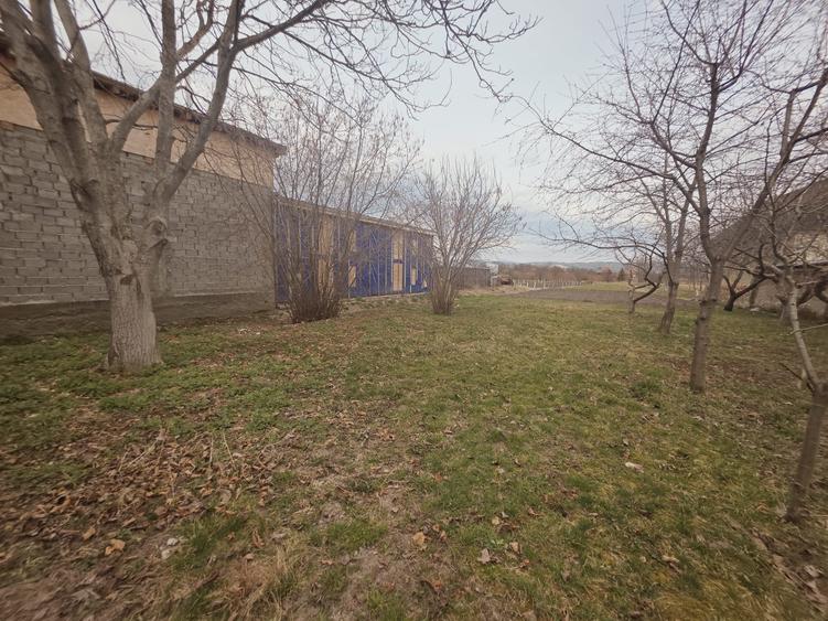 Vand casa saseasca 4 camere cu teren generos 1900mp - 21