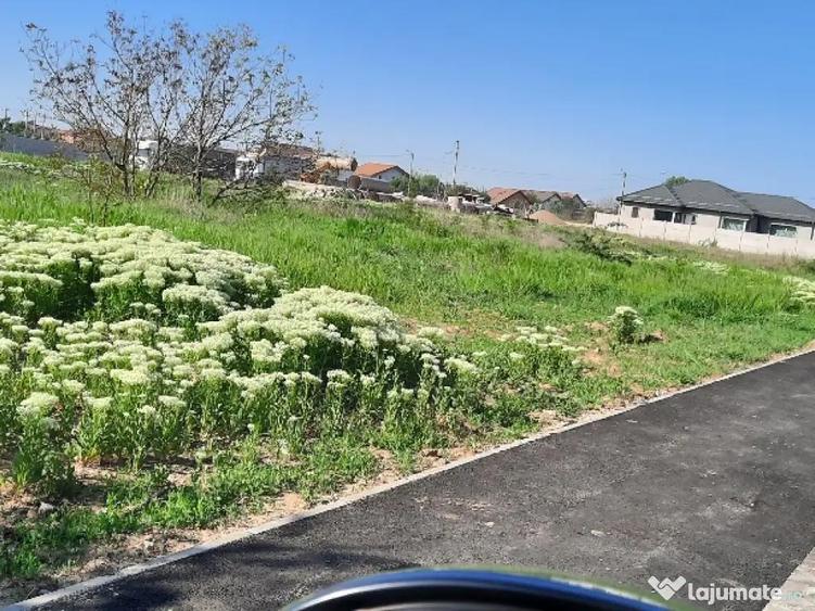 Proprietar vand 3008mp teren intravilan str. Ana Aslan Craiova Dolj - 3