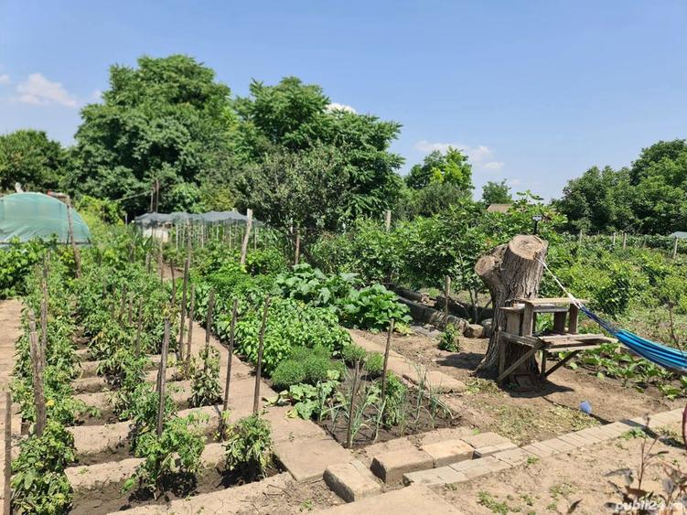 Casa de vanzare, Baile?ti, Dolj!!! - 5